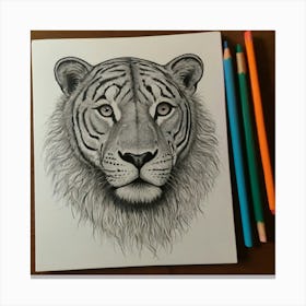 Tiger Drawing Canvas Print