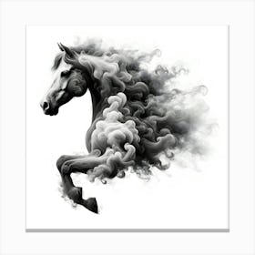 Black And White Horse Canvas Print