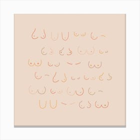 All Shapes Are The Breast Shapes Square Canvas Print