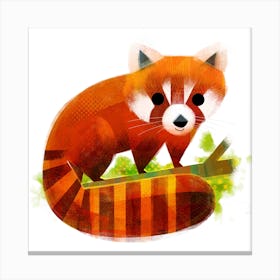 Red Panda Square Canvas Print