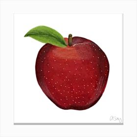 Red Apple Canvas Print