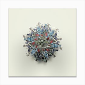 Vintage Blue Spiderwort Flower Wreath on Ivory White n.0663 Canvas Print