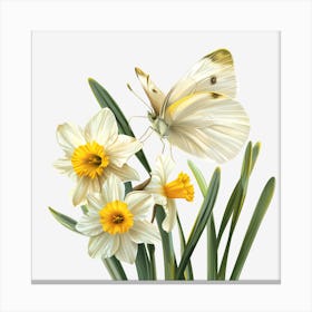 Daffodils And Butterfly 1 Canvas Print