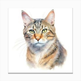 American Polydactyl Cat Portrait 2 Canvas Print