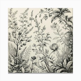 Black And White Drawing Of Flowers Canvas Print