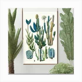 Cactus Print Jardin Majorelle, Morocco Vintage Botanical Art Print 1 Canvas Print