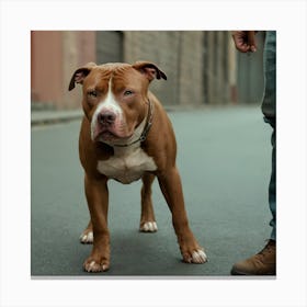 Dog Standing On Street Canvas Print