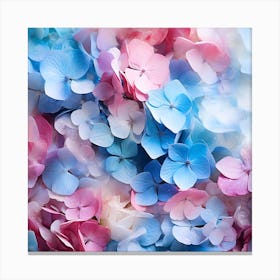 Hydrangeas 9 Canvas Print