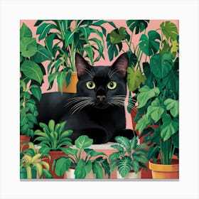 Cat In Pots Canvas Print