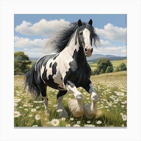 Piebald Irish Cob Horse Galloping Through Daisies Canvas Print
