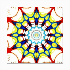 Mandala 29 Canvas Print