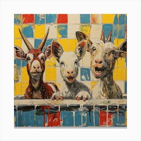 Goats In The Bath Canvas Print