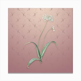 Vintage Spring Garlic Botanical on Dusty Pink Pattern n.0364 Canvas Print