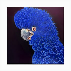 Blue Parrot Canvas Print