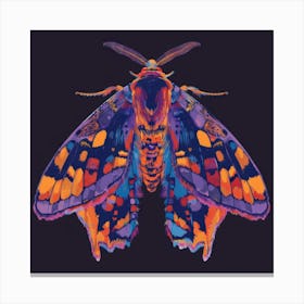 Moth on black Canvas Print