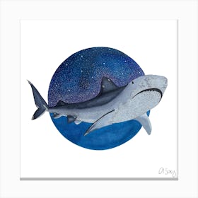 Blue Shark Canvas Print