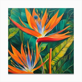 Flower of Bird of Paradise 6 Canvas Print