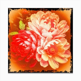 Peonies 2 Canvas Print