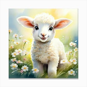 Lamb In The Field Canvas Print