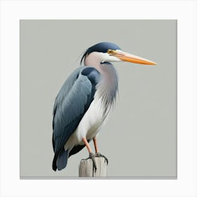 Blue Heron 1 Canvas Print