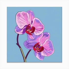 Orchids 13 Canvas Print