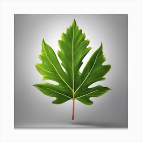 Maple Leaf 1 Canvas Print