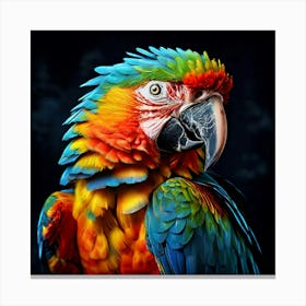 Watercolor Macaw Studio Photography Complex Details High Detail Canvas Print