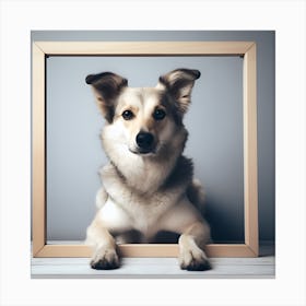 Dog in Picture Frame Canvas Print