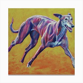 Greyhound Running Canvas Print