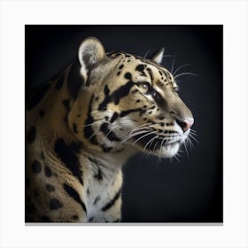 Leopard2 Canvas Print