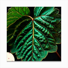 Mulberry leaf Canvas Print