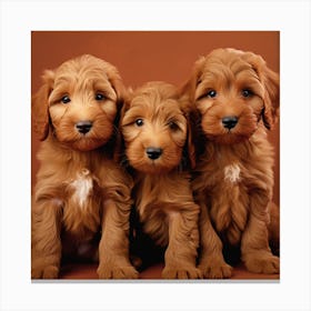 Dachshund Puppies Canvas Print