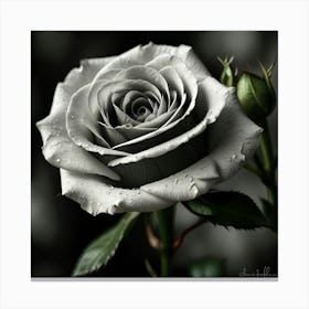 Leonardo Lightning Black And White Rose Art 0 Canvas Print