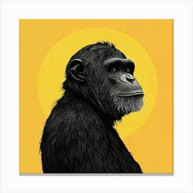 Chimpanzee 3 Canvas Print