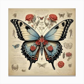  Anatomy Of A Butterfly Art Print 1 Canvas Print