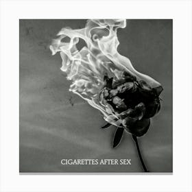 Cigarettes After Sex Melancholic 12 Canvas Print