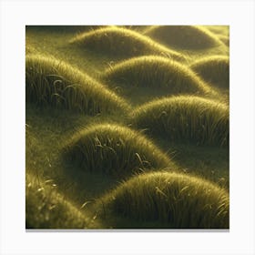 Grass Field 20 Canvas Print