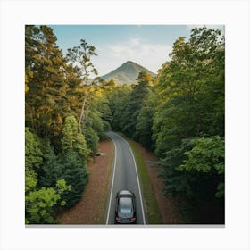 Driving Through A Lush Green Forest Canvas Print