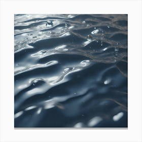 Water Droplet 4 Canvas Print