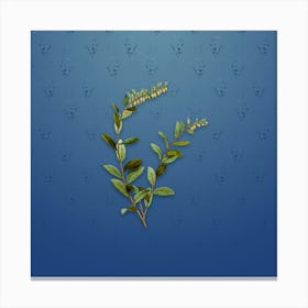 Vintage Andromeda Marginata Bloom Botanical on Bahama Blue Pattern n.0175 Canvas Print