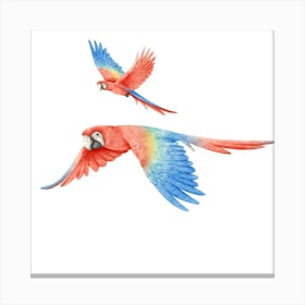 Parrots In Flight Canvas Print