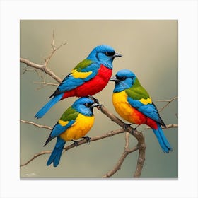 Three Colorful Birds Perched On A Branch Canvas Print