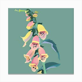 Foxglove Square Flower Illustration Canvas Print