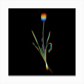 Prism Shift Mouse Garlic Botanical Illustration on Black Canvas Print