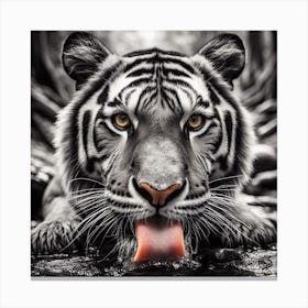 White Tiger 3 Canvas Print