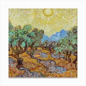 Olive Trees In The Sun Canvas Print