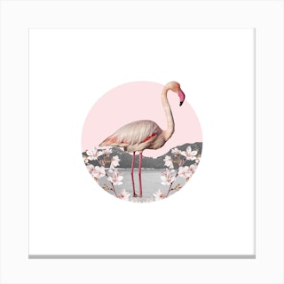 Flamingo Collage Square Canvas Print