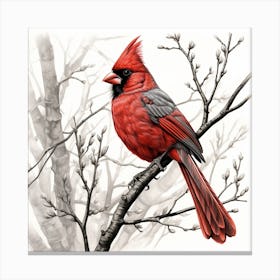 Cardinal 1 Canvas Print