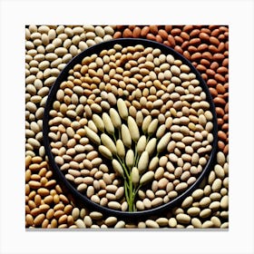 Legumes As A Logo (67) Canvas Print