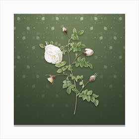 Vintage Silver Flower Hispid Rose Botanical on Lunar Green Pattern n.2517 Canvas Print